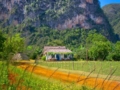 “Habana - Pinar del Río - Viñales” Tour