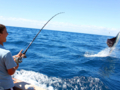 “High Fishing in Marea del Portillo” Tour
