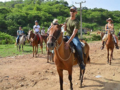 “Horseback Riding to Waterfall El Pilón” Tour