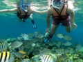 "Snorkeling from Marea del Portillo" Tour