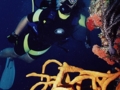 Scuba diving tour in Santiago de Cuba