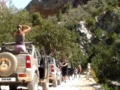 jeep tour soroa