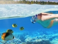 "Seafari Cayo Blanco from Marea del Portillo" Tour