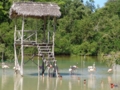 Rocazul biopark, Holguín