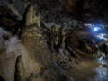 Bellamar Cave, Matanzas City
