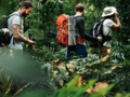 "Nature and History" Soroa Trail