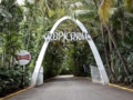tropicana-cabaret-show-in-american-classic-cars-tour-