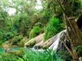 El Nicho waterfall-Cuba