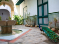 Arab House, Tour "500 years of hope"