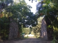 El Taburete Camping, Comunidad Las Terrazas, Sierra del Rosario Candelaria, Artemisa, Cuba