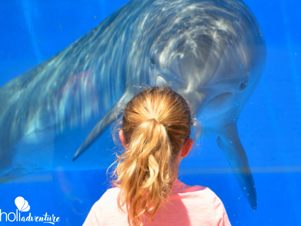  - Visit to the “National Aquarium of Cuba”